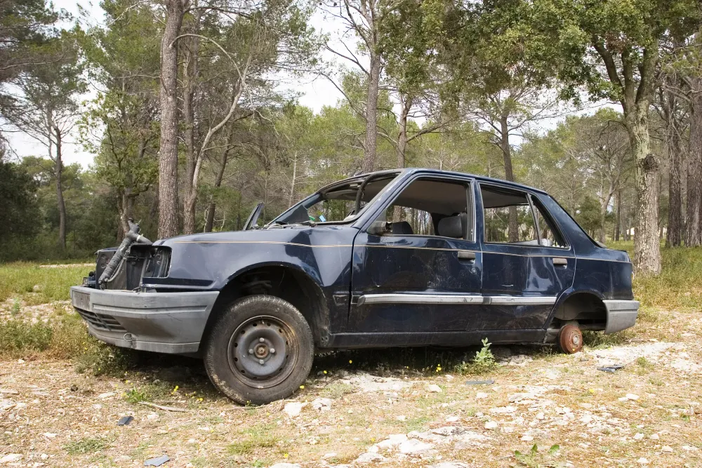 Reprise de voiture gratuite à Boissy-sous-Saint-Yon